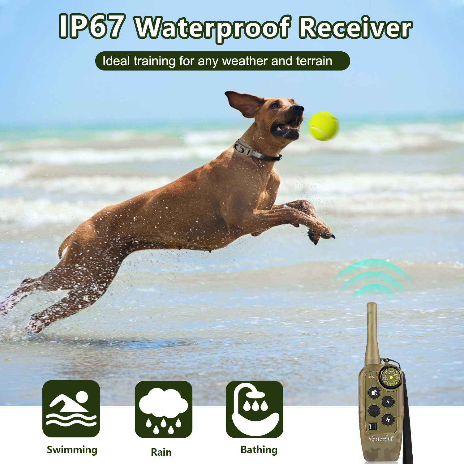 1000m Electric Dog Training Co - Hot Dog Press recensie en prijs