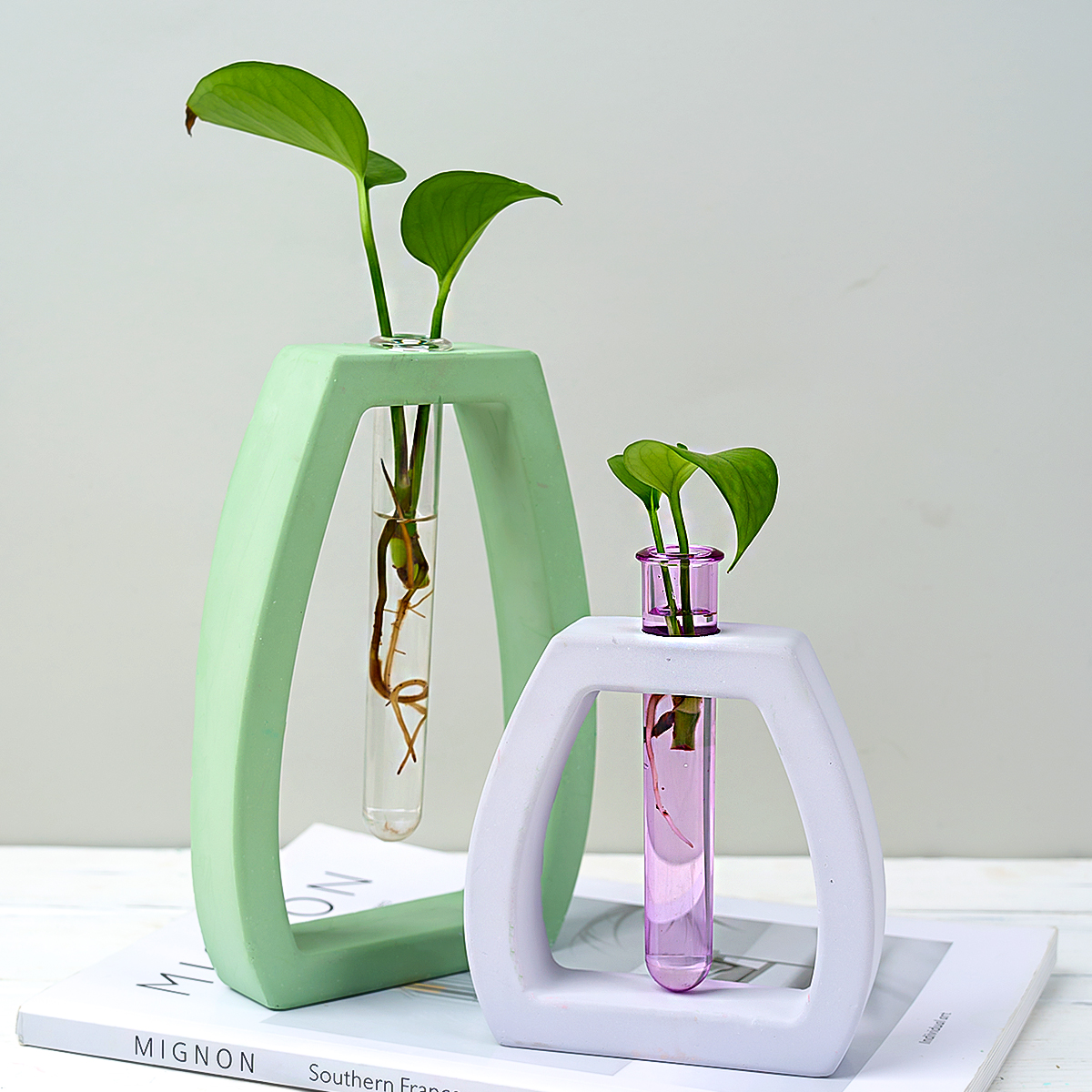 Hydroponic Test Tube Vase Sili - Potsticker Mold recensie en prijs