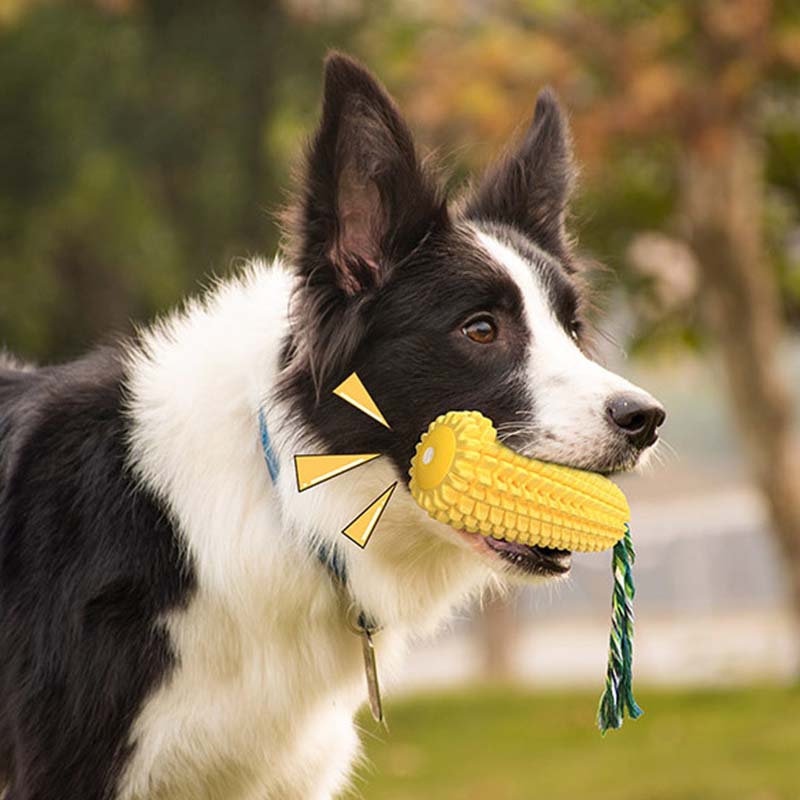 Hot Selling Large Size Corn Sh - Corn Dog Stick recensie en prijs